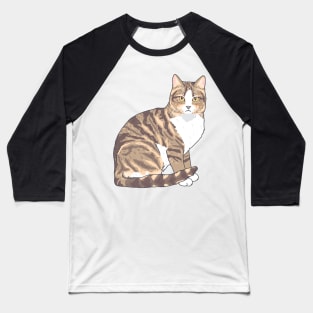 Brown and White Tabby Cat Baseball T-Shirt